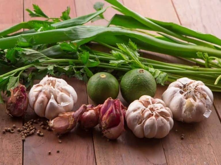 are-red-green-white-onions-garlic-nightshades-leafyjournal