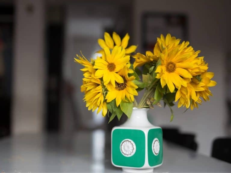 How to Make Sunflowers Stand Up in a Vase? (Explained) LeafyJournal